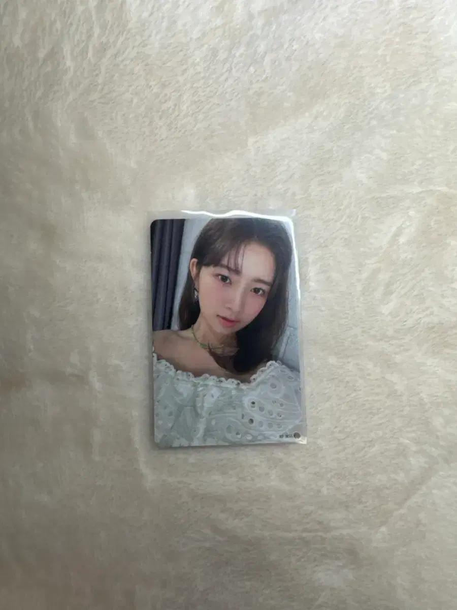 아이브 일본 앨범 레이 포토카드