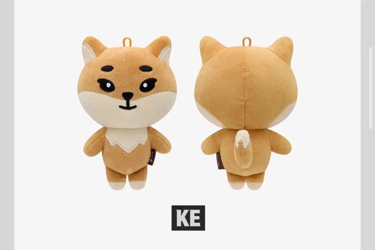 데이식스 데니멀즈 20 케