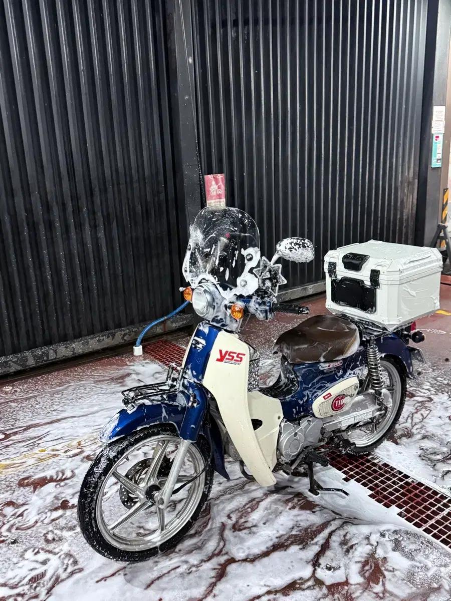혼다 슈퍼커브 110 2019년식