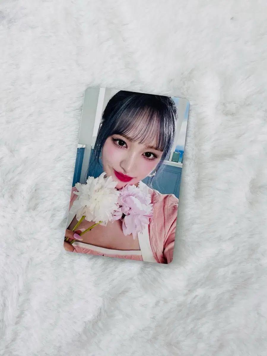 아이브 alive 일본 리즈포카 양도