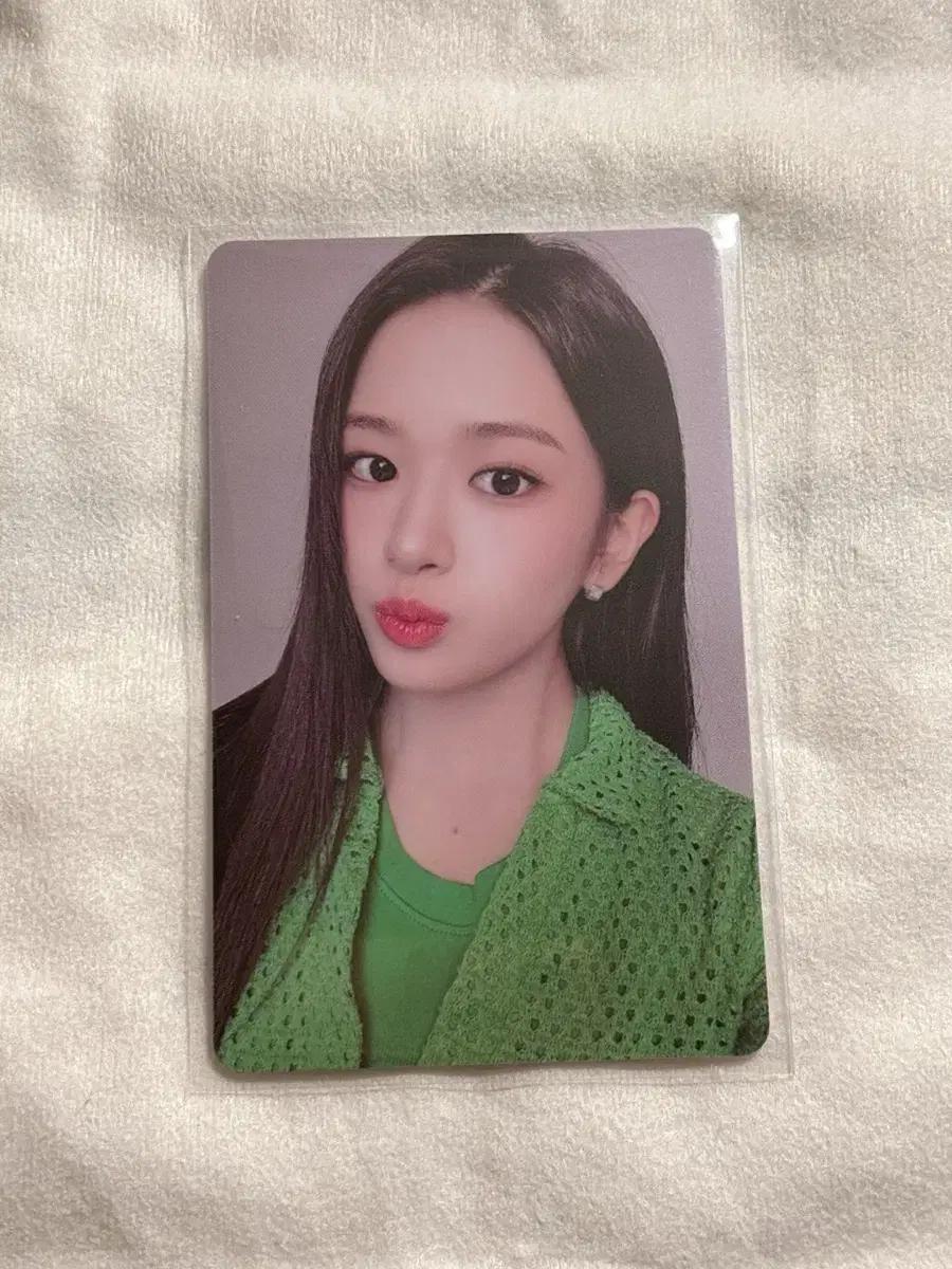 아이브 파파존스 유진