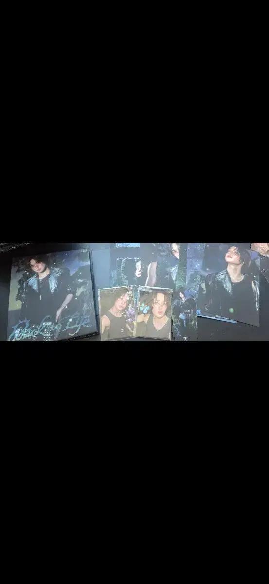 앤팀 ROAR ver 케이 개인반+ 포카 2개 일괄양도