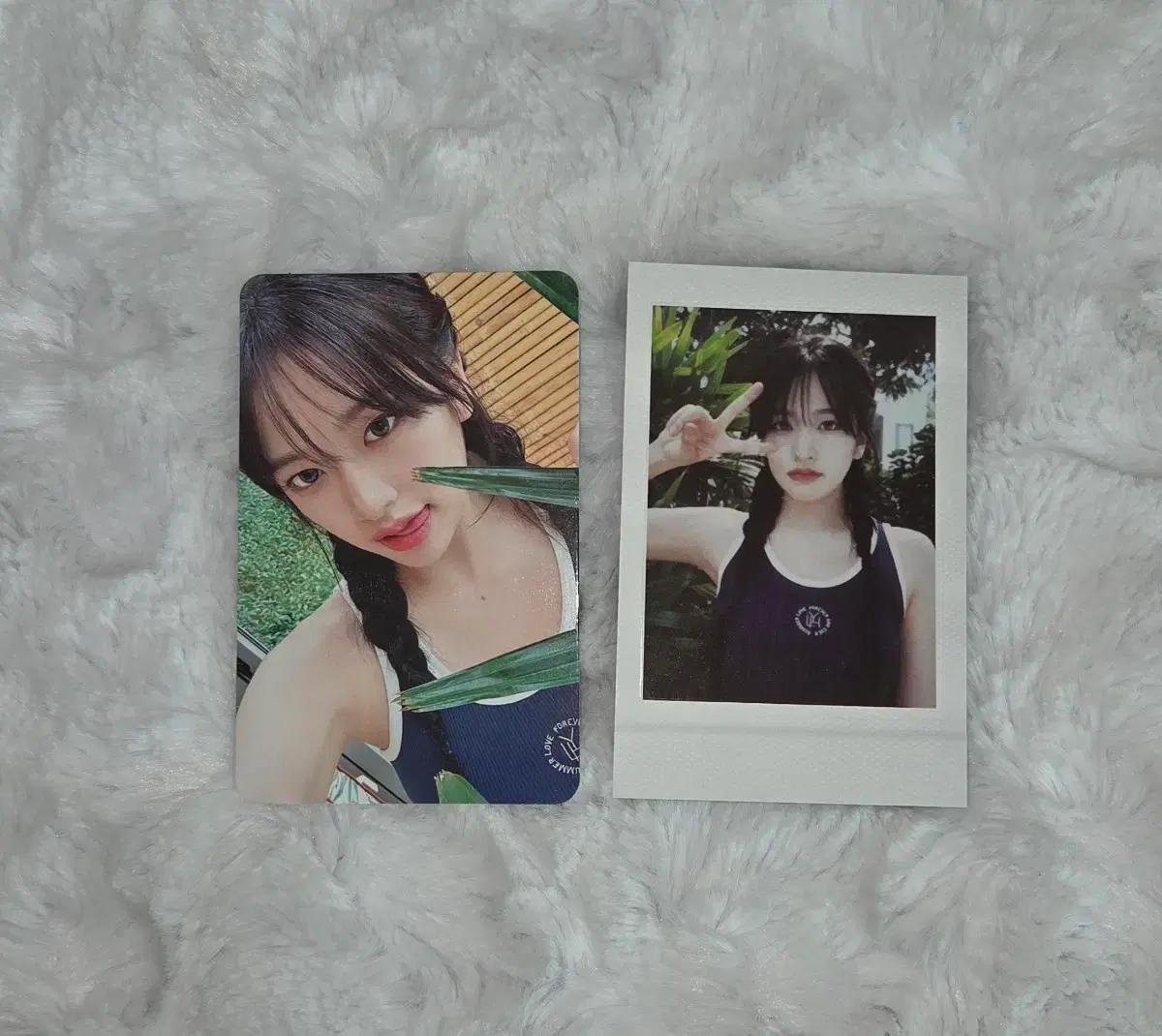 일괄) 아이브 어드리미데이 유진 포카