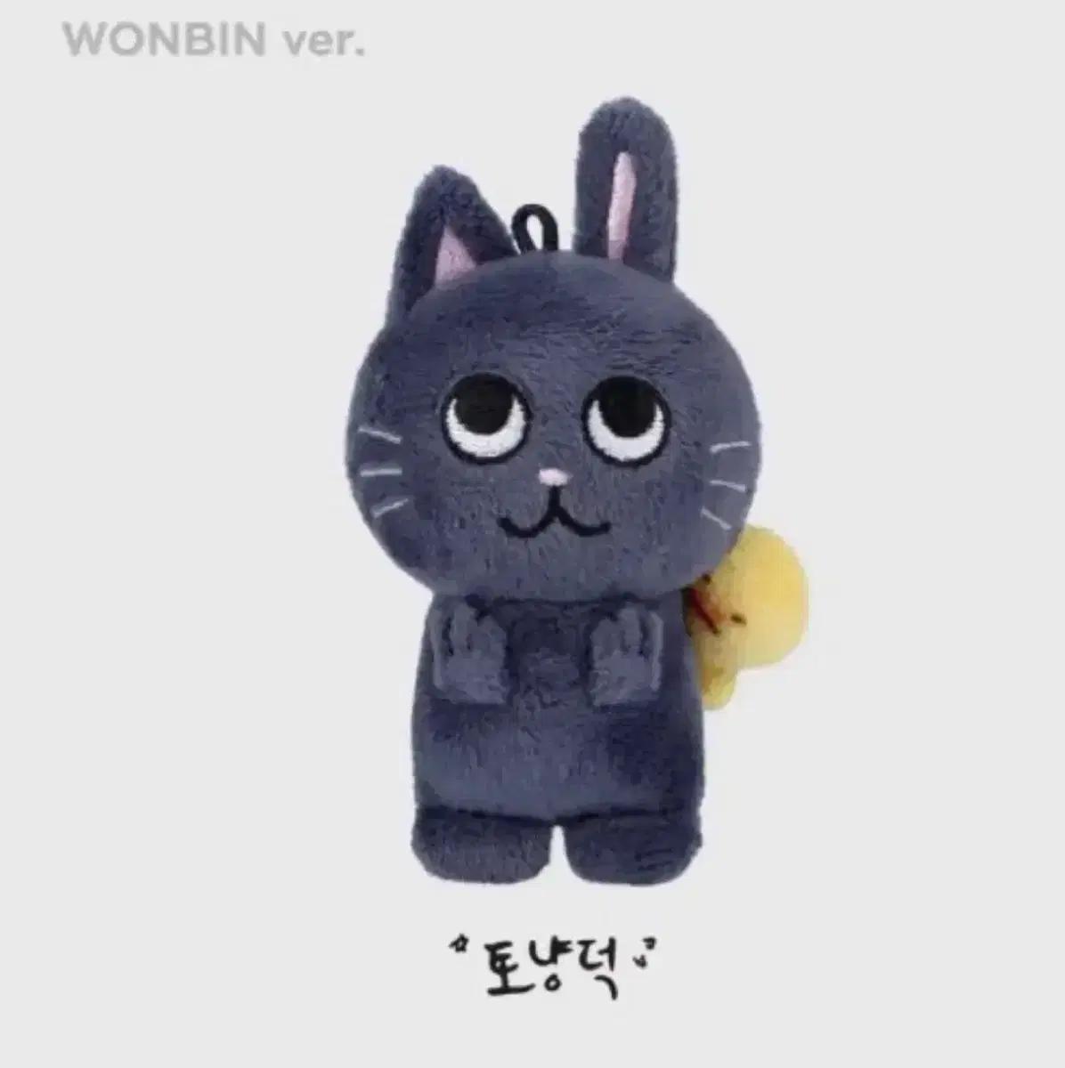 라이즈 원빈 토냥덕 10cm md