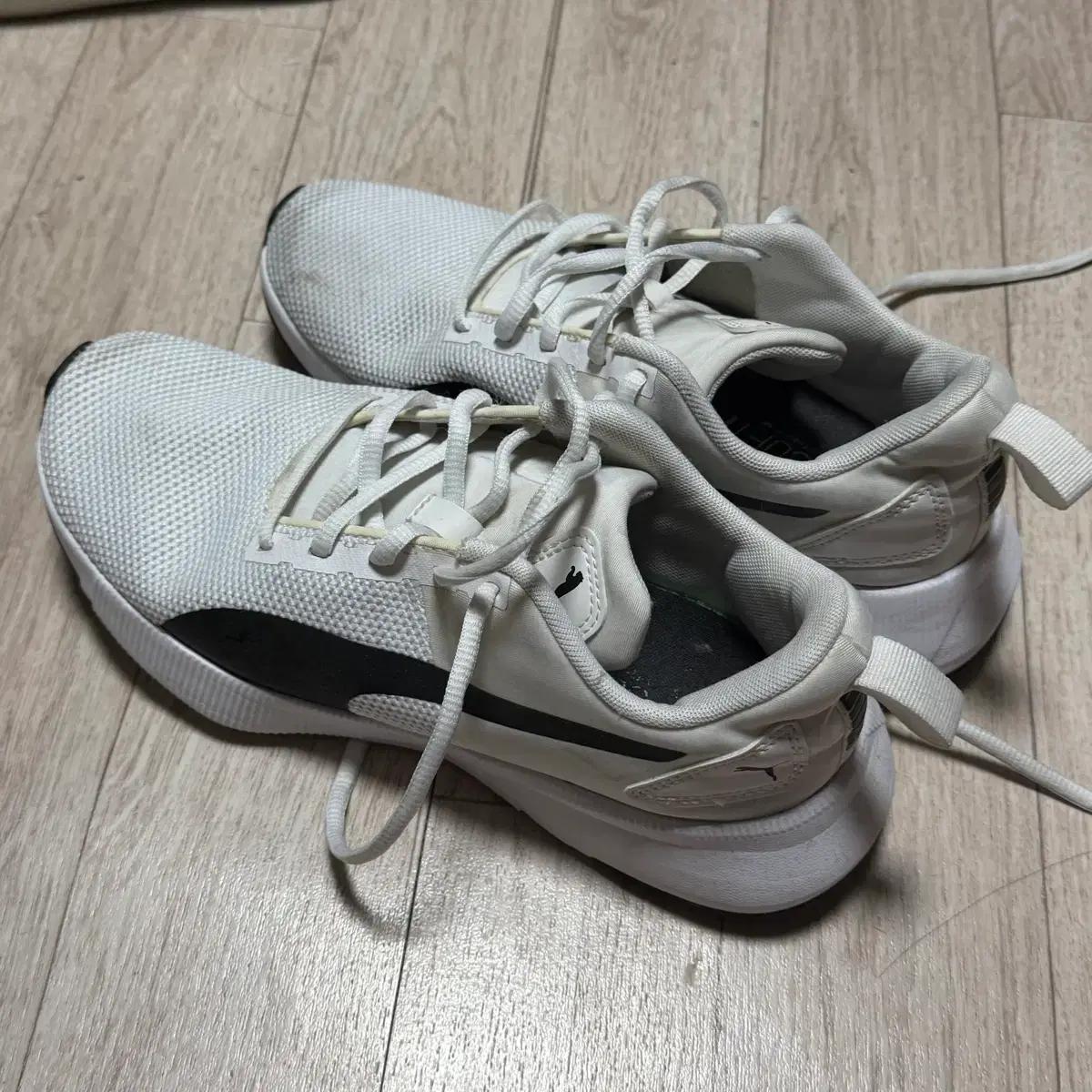 푸마 흰색 운동화 235