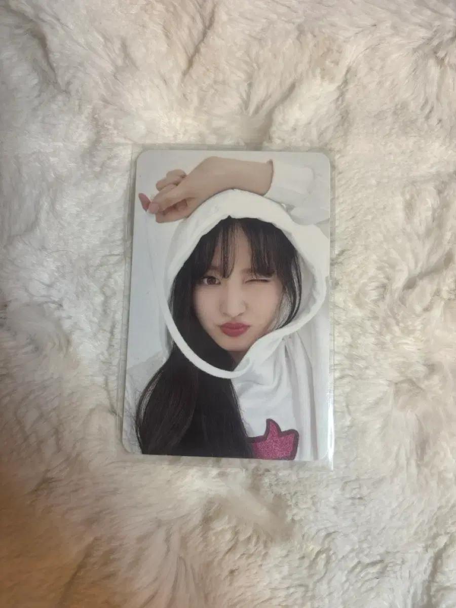 아이브 아이엠 네이버쇼핑라이브 리즈 포카