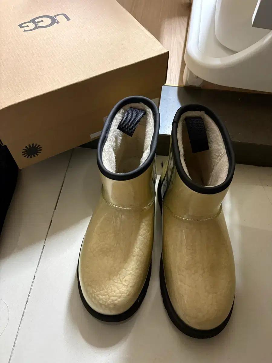 미국 어그 ugg 클리어 미니