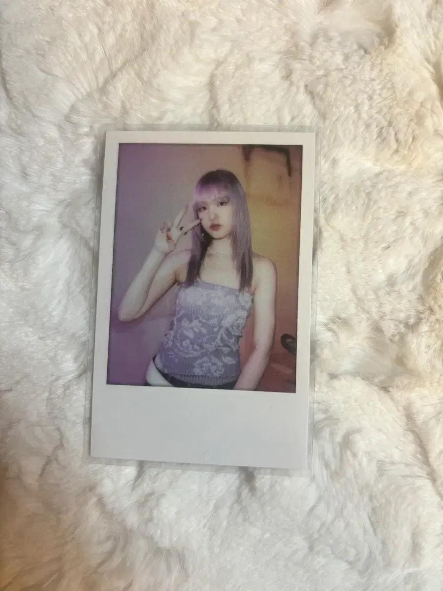 아이브 스위치 사운드웨이브 럭드 리즈 포카