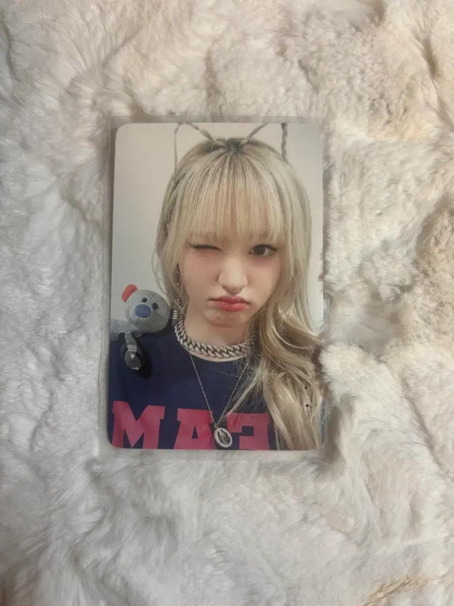 아이브 마인 위드뮤 리즈 포카