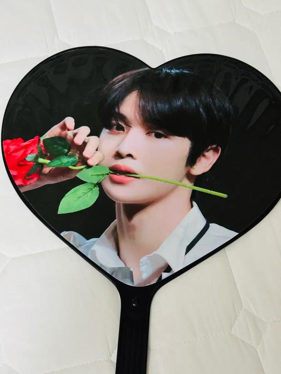 라이즈 성찬 우치와 양도합니다