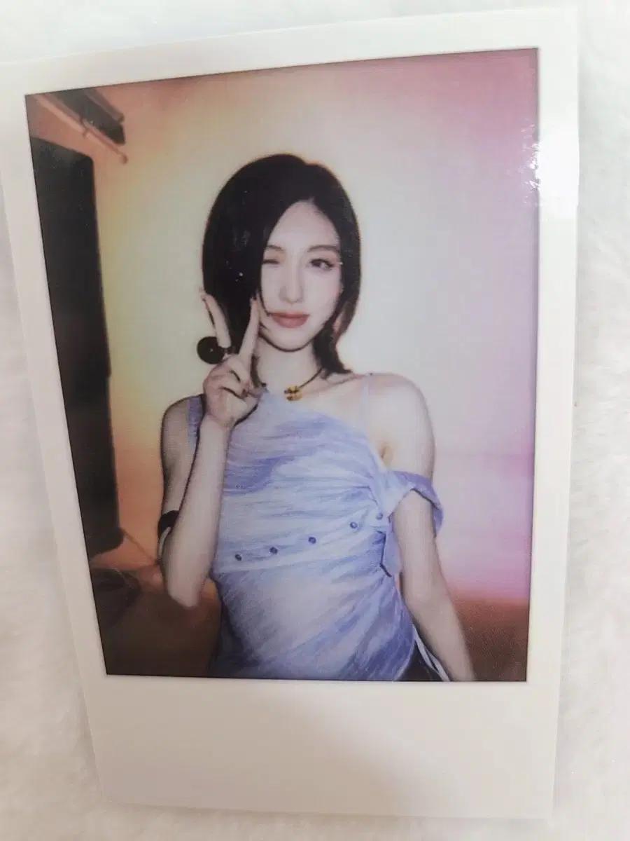 아이브 가을 스위치 사운드웨이브 사웨 럭드 럭키드로우 1차 폴라 포카