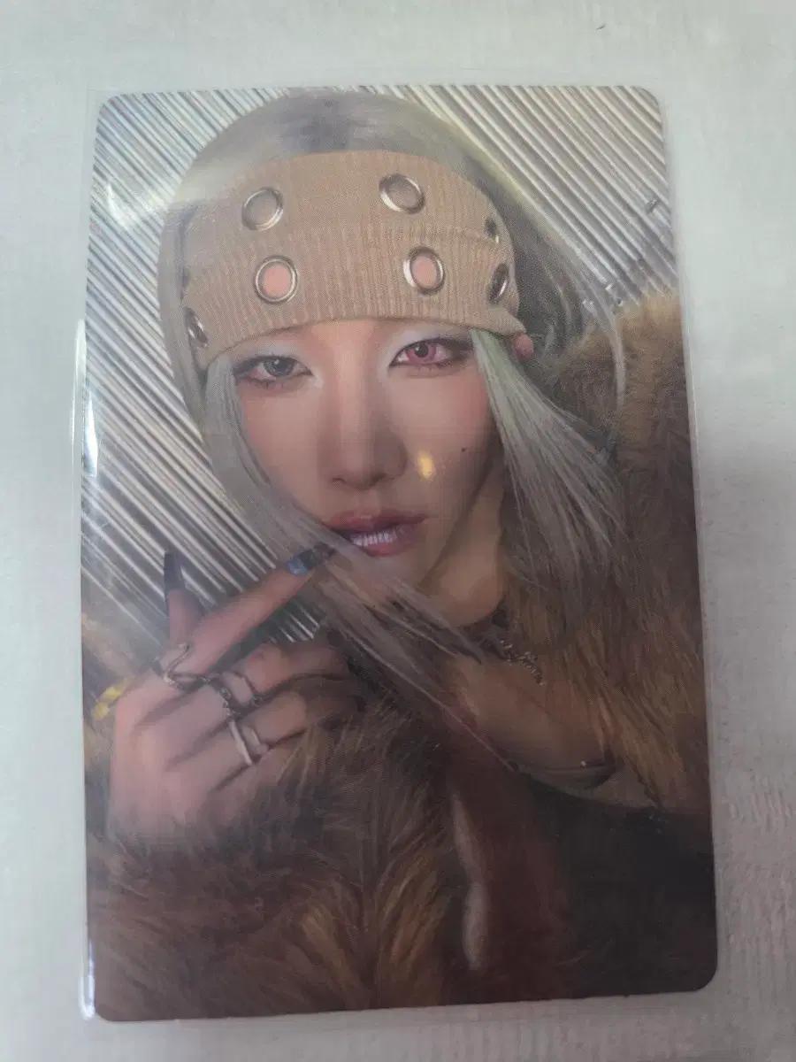 XLOV 포카