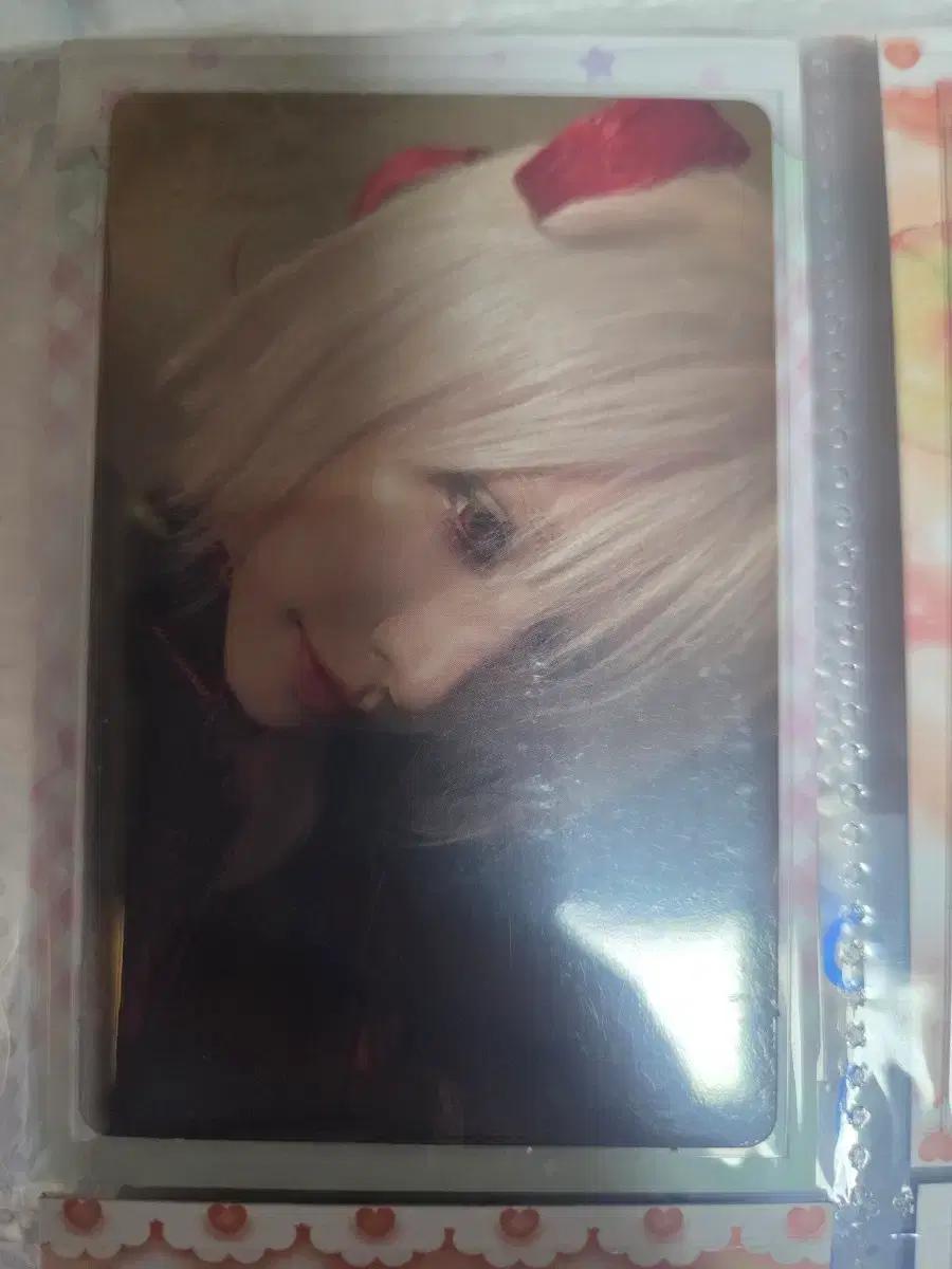XLOV 포카