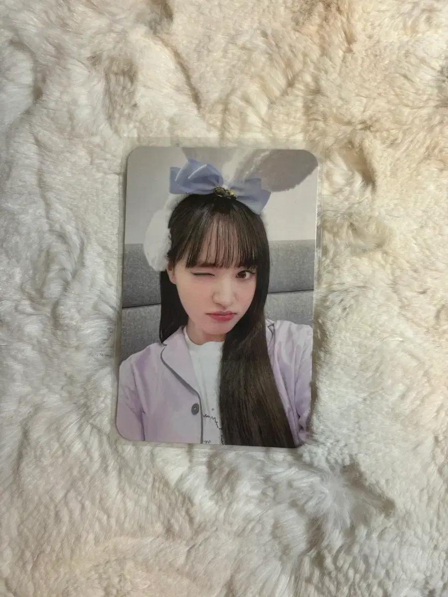 아이브 아이엠 사운드웨이브 럭드 리즈 포카