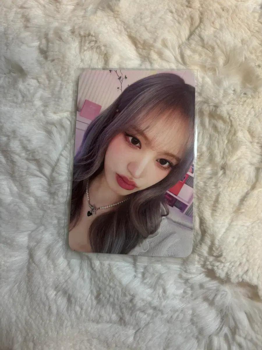 아이브 스위치 위드뮤 리즈 포카