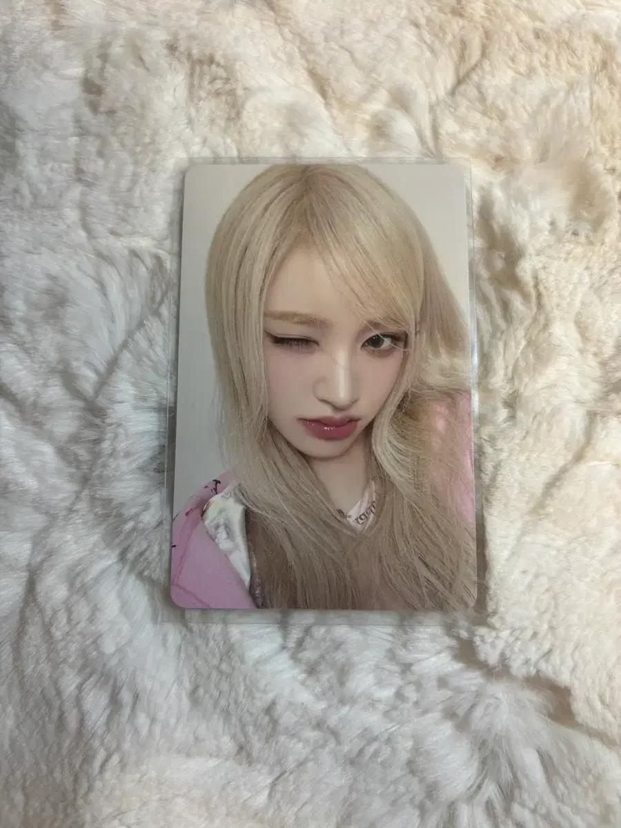 아이브 엠파시 앨범 리즈 포카