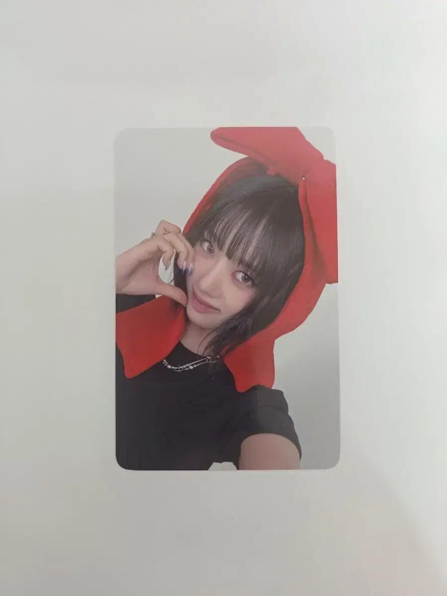 미야오 수인 에버라인 포카