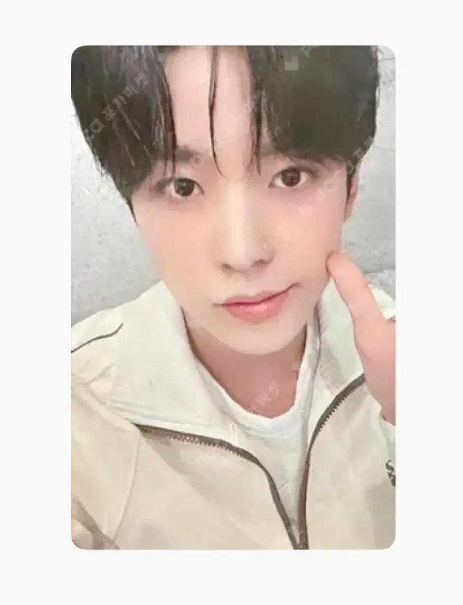 스테디 fromm store 유우시 포카 특전