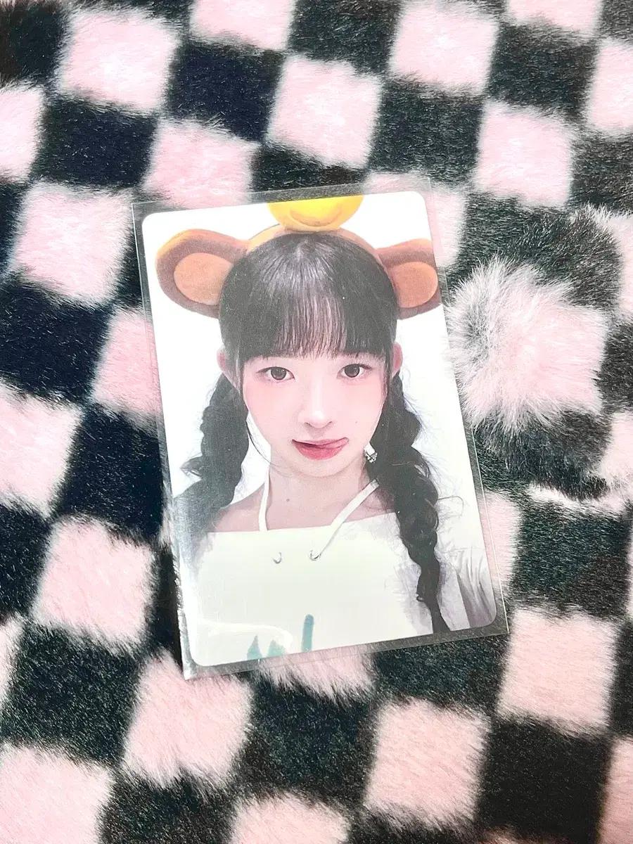 아이브 레이 엠파시 케이몬스터 케몬 포카 판매