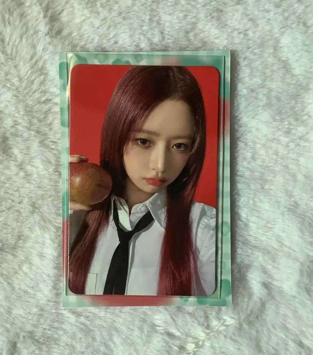 아이브 마인 스타쉽스퀘어 레이 포카 판매(양도)