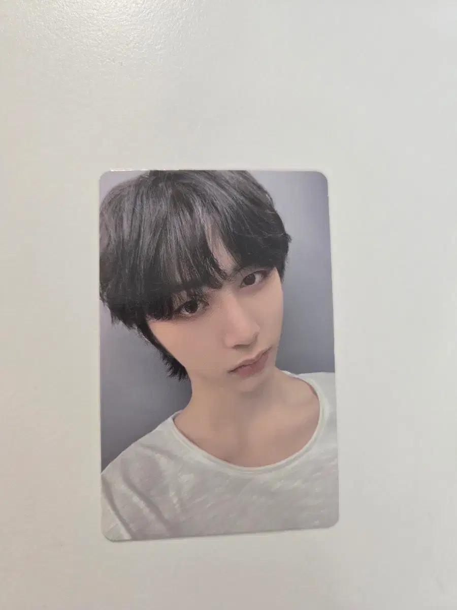 (동영상확인) 보넥도 태산 19.99 target exclusive