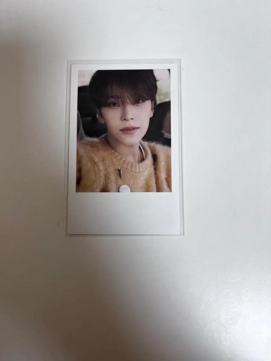 허씬롱 포카 (EUPHORIA STAR ROAD 폴라)