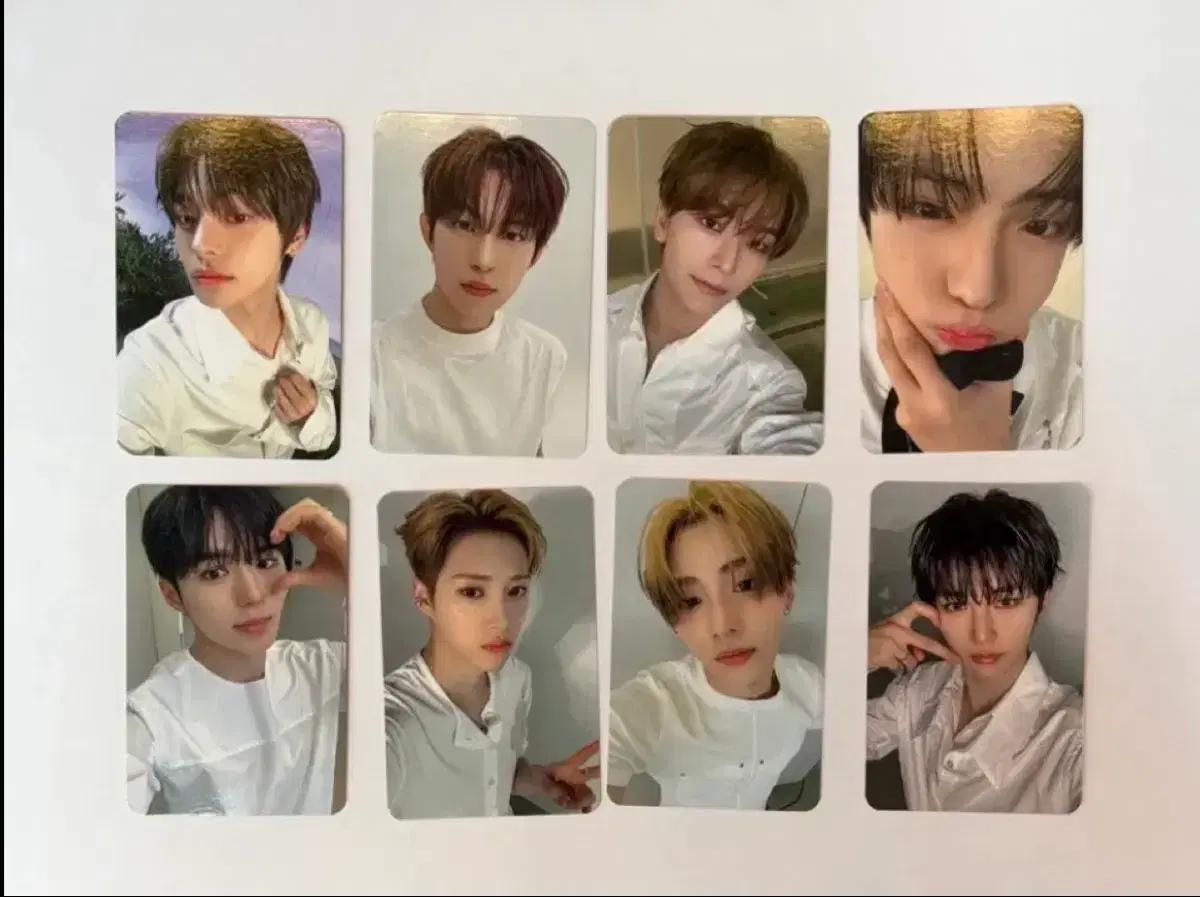 알디원 사웨 영통 포카 분철