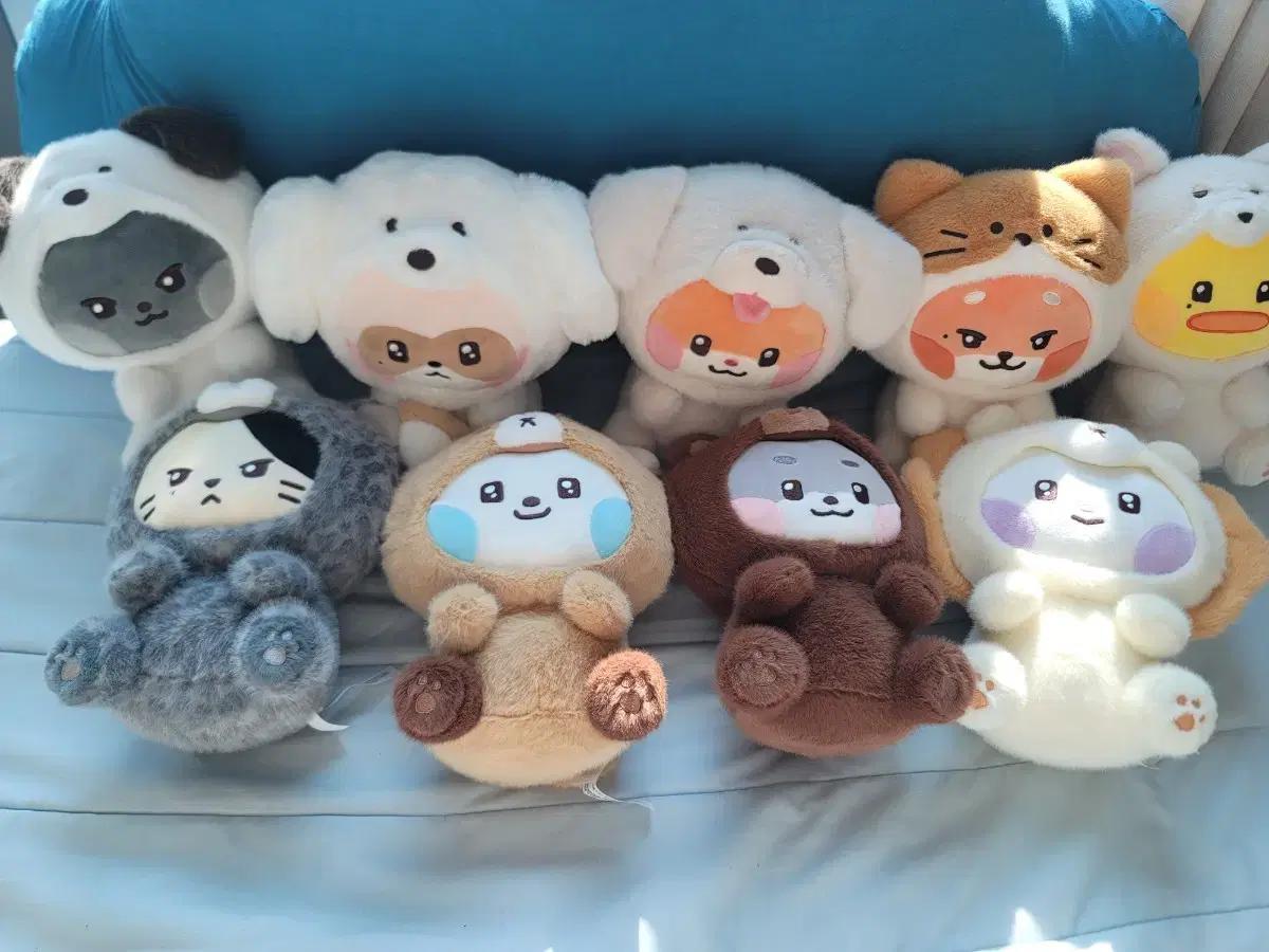 제로베이스원 제로니인형 일괄판매!!(이번주만 가격 10000원 할인!!)