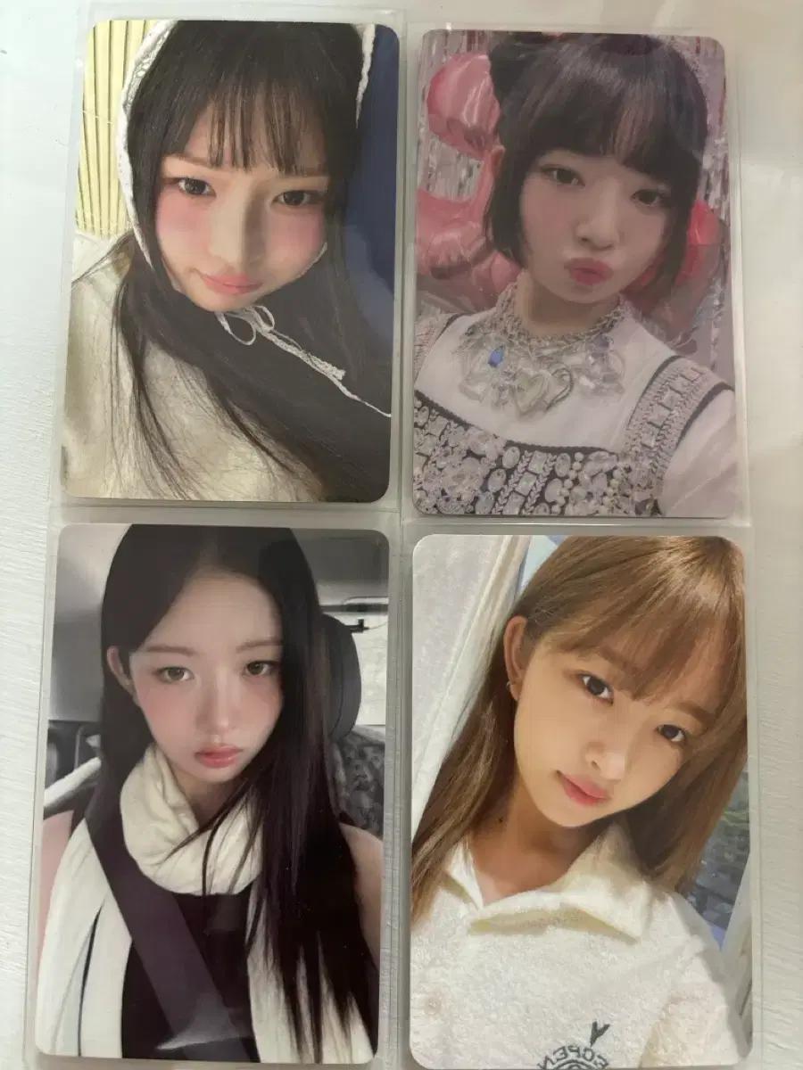 아이브 레이 징동 스타리버 사웨 네쇼라 포카 판매해요