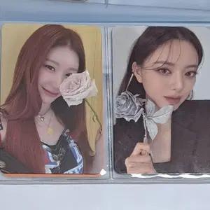 있지 포카