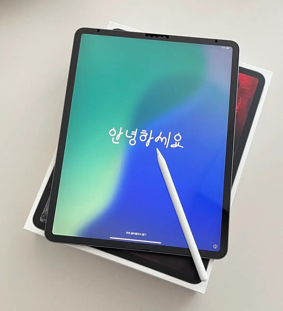 [아이패드프로]12.9인치 3세대 256GB Wi-Fi+애플펜슬 2세대