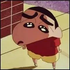 보넥도 포카 팝니다!!