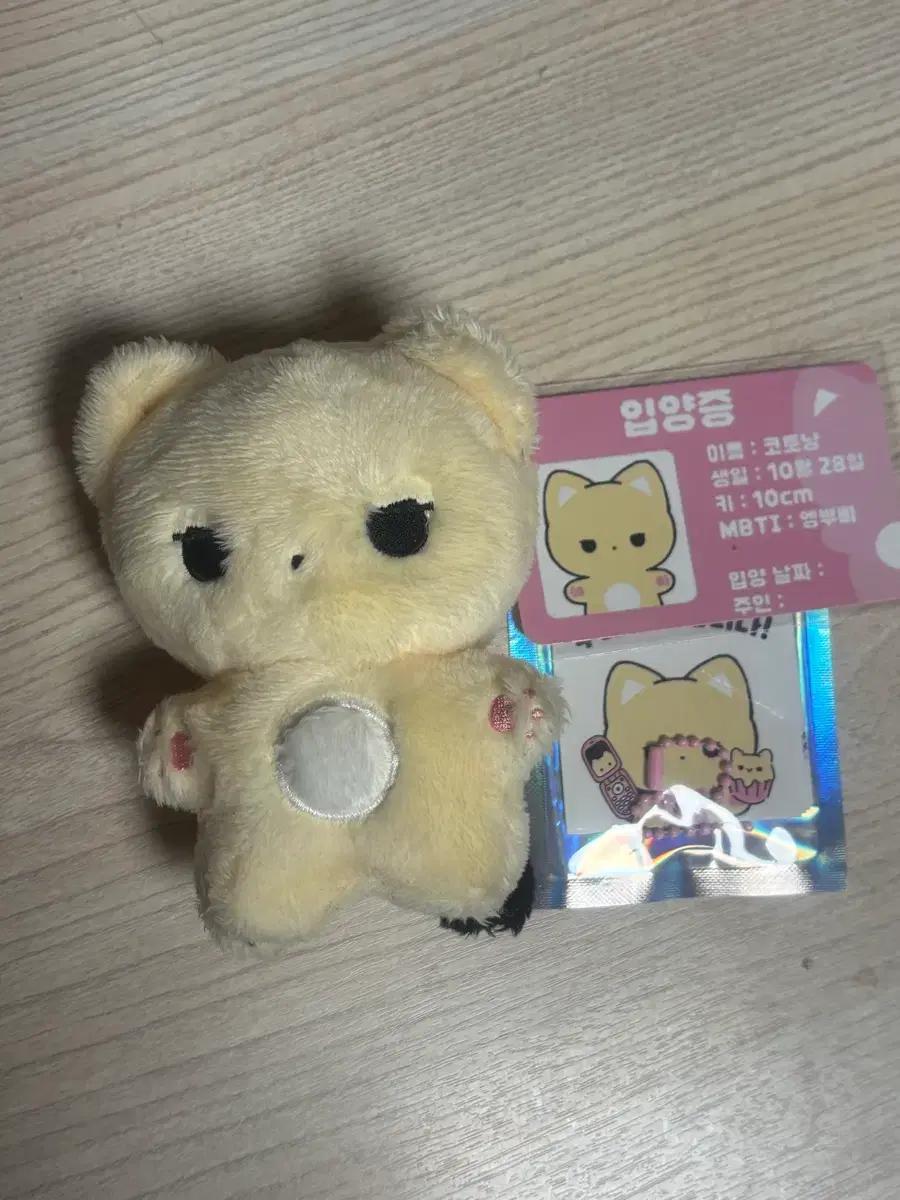 코토냥 풀셋