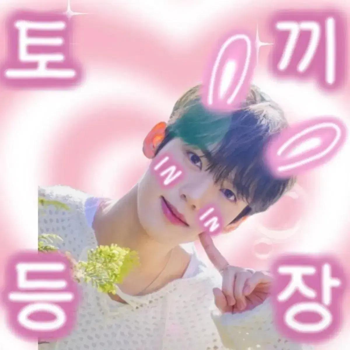 제로베이스원 도무송