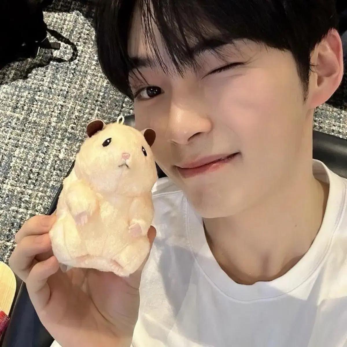 제베원 성한빈 뚱중햄 양도