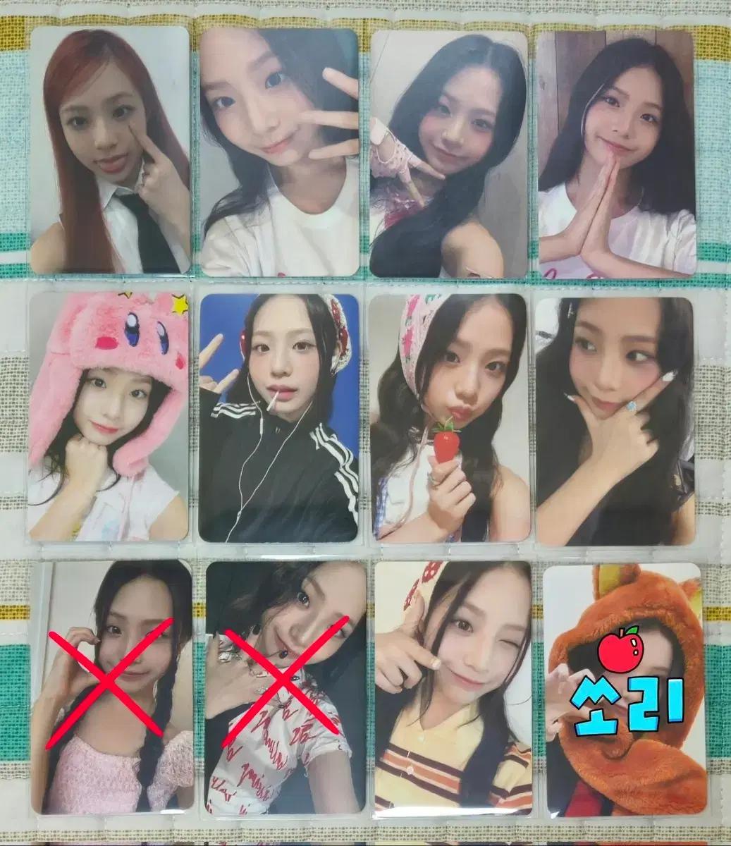 유니스 임서원 위유니스 큐리어스 스위시 포카 양도합니다!드볼 미공포 판매