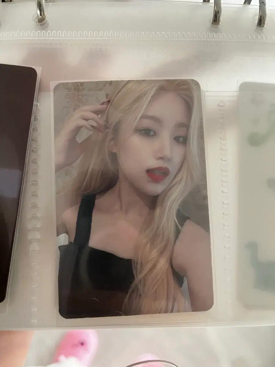 여자아이들 슈화 포카