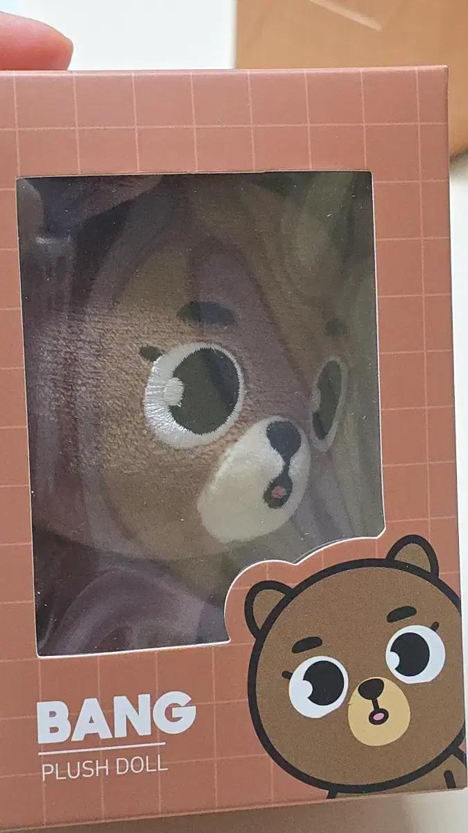 데이식스 데니멀즈 24 방 BANG