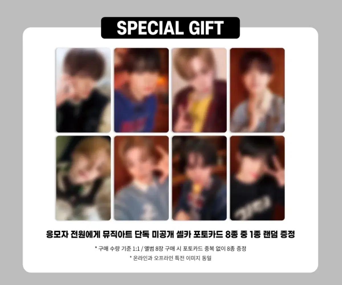 뮤직아트 미공포 알디원 분철