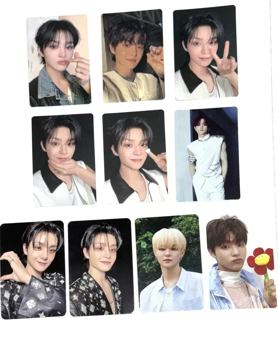트레저 포카 모음