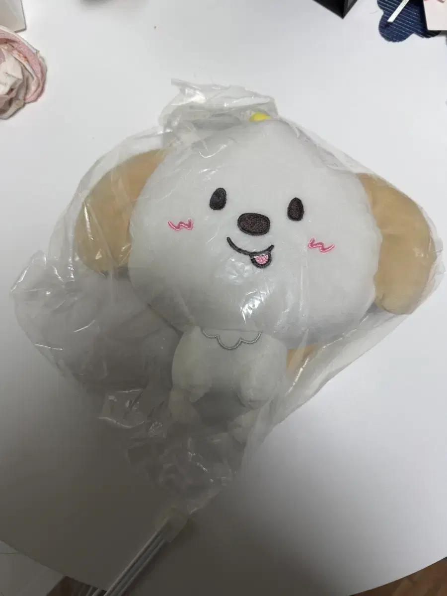 보스라이즈 동전지갑 앤톤 멍룡이