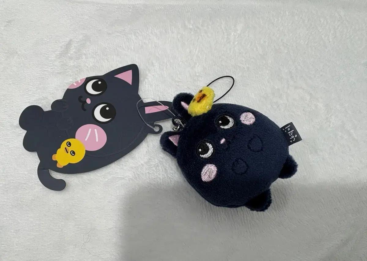 라이즈 원빈 토냥덕 7cm 인형 양도