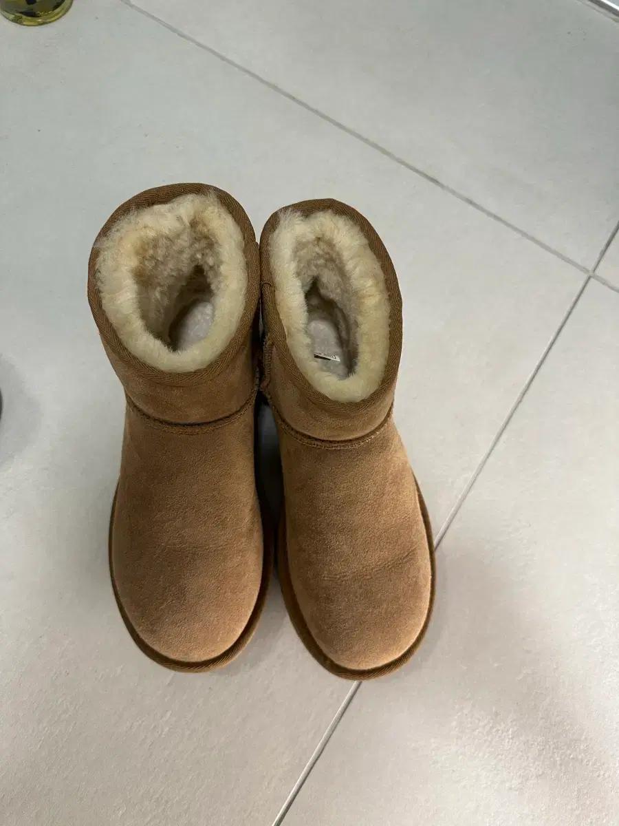 미국어그 230 팝니다
