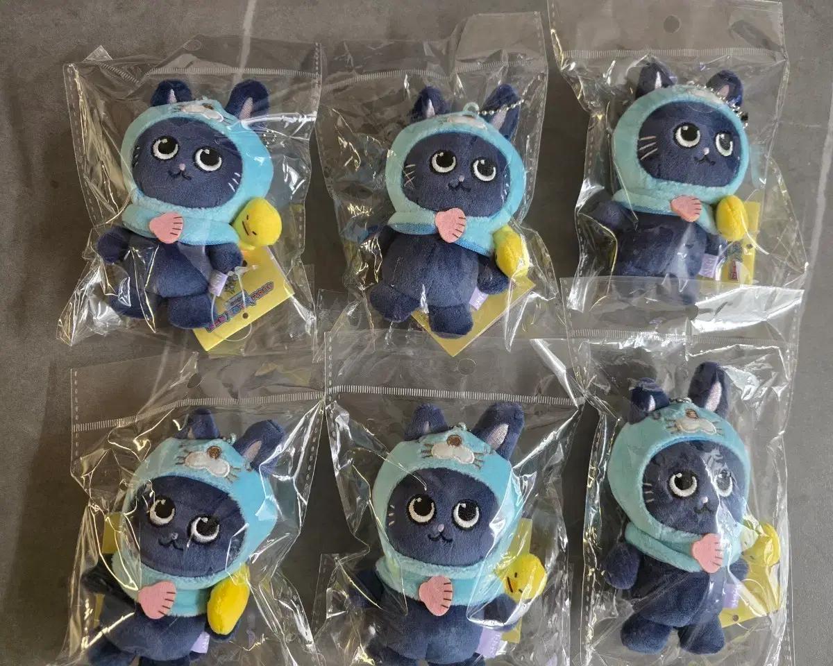 라이즈 보노보노라이즈 토냥덕 원빈