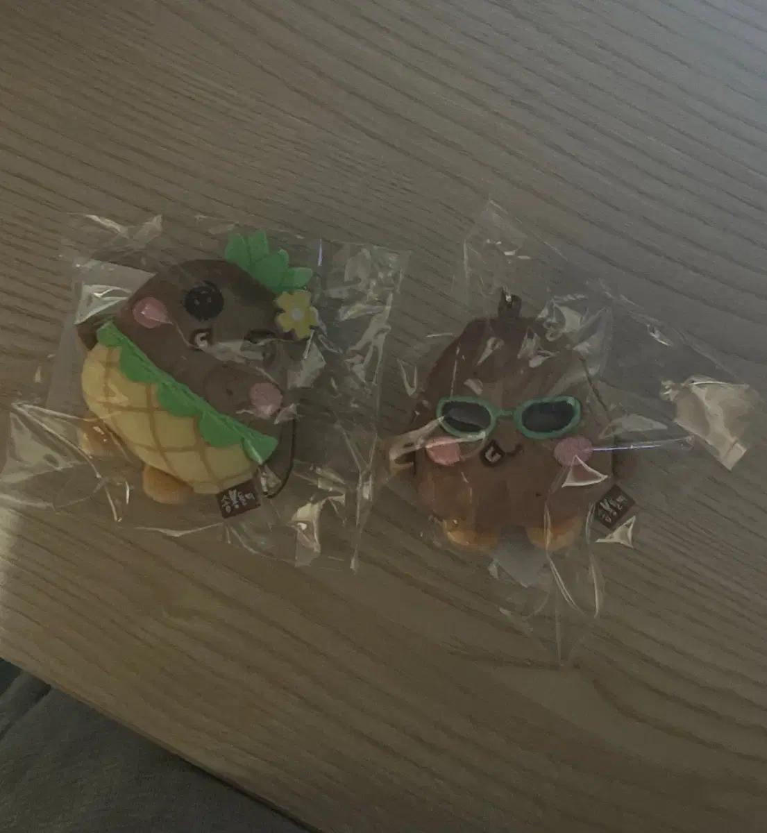 라이즈 태닝인형