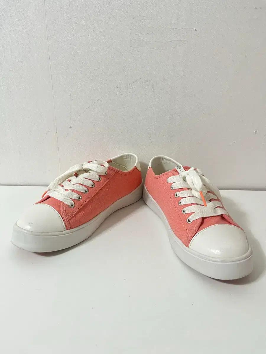250 PROSPECS 스니커즈 운동화 정품