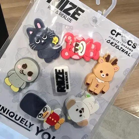라이즈 지비츠 일본 크록스 개별 양도