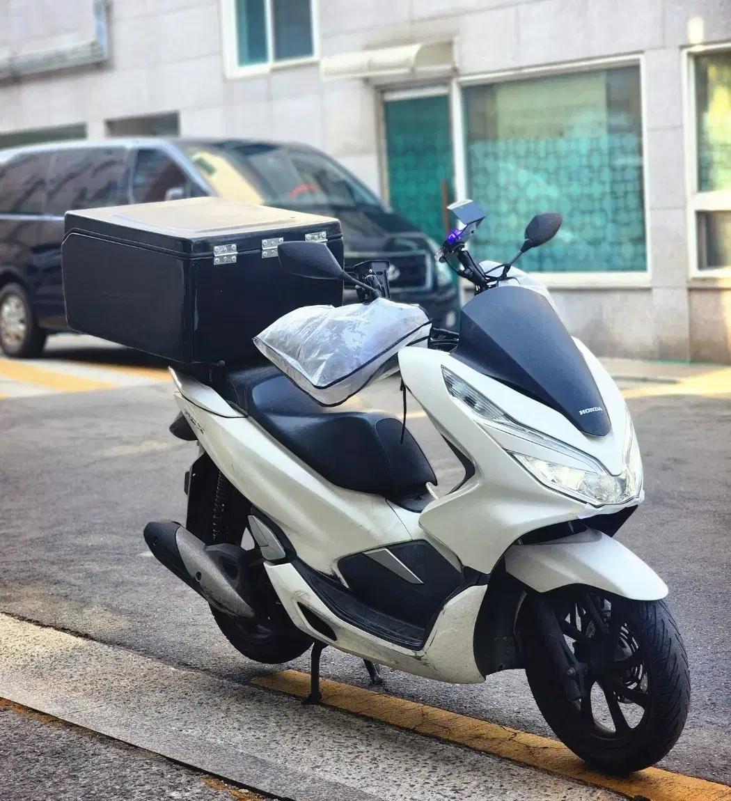 19년식 PCX125 화이트 5만 배달세팅 전국 최저가