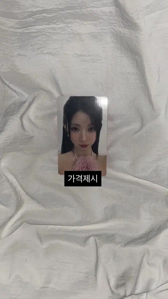 aeye 렌즈 아사 포카 베이비몬스터 아사