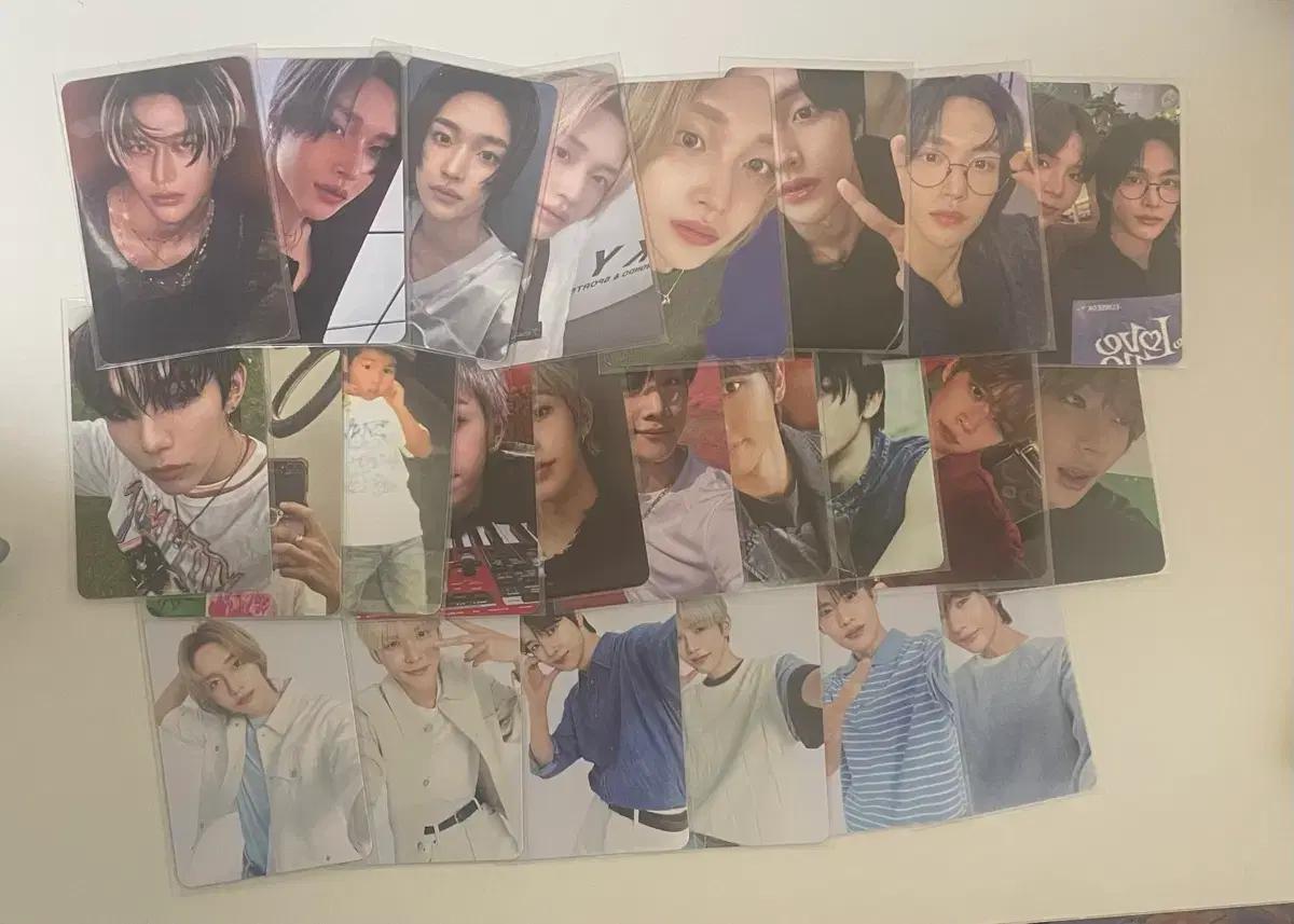 라이즈 포카 원빈 일괄 폭덤 성찬은석쇼타로앤톤소희 포카